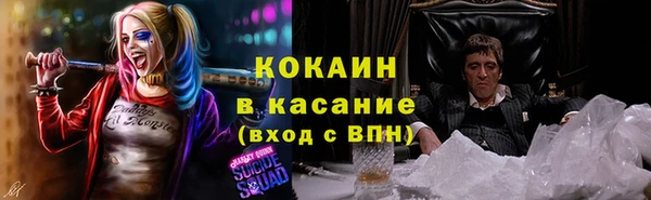 соль ск Алексеевка