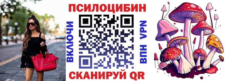как найти наркотики  Кольчугино  Псилоцибиновые грибы Magic Shrooms 